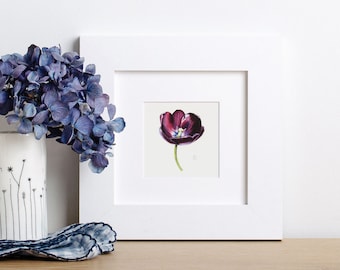 Small framed art print with Tulip, small framed wall art,