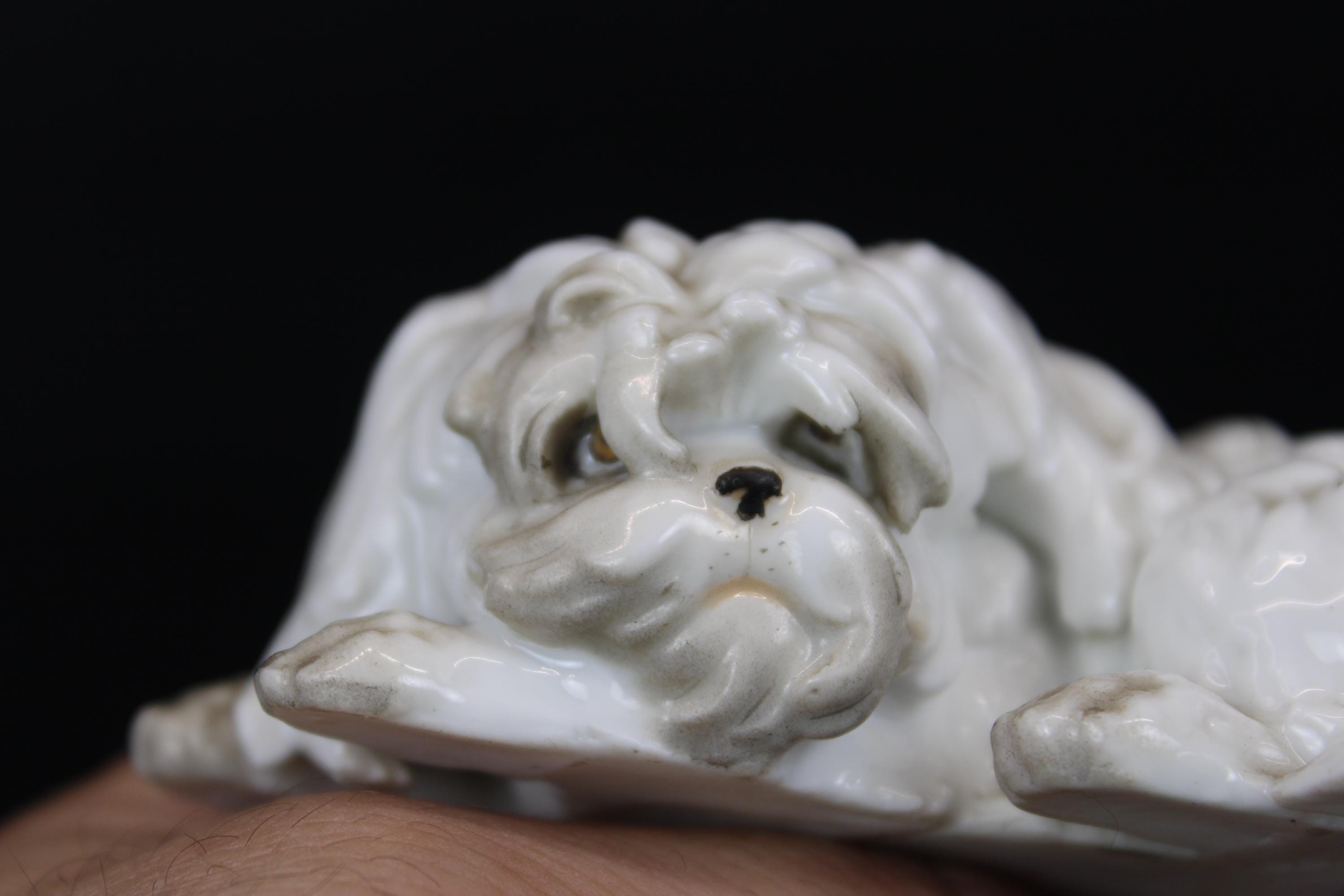 アンティークな白磁の素焼きの犬の置物。 - Etsy 日本
