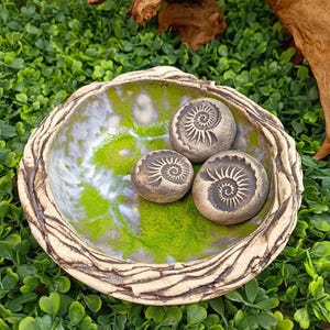 May include: A ceramic bowl with a textured rim and a green and white interior holds three small, round, fossil-like stones. The bowl sits on a bed of green foliage, with a piece of driftwood in the background.