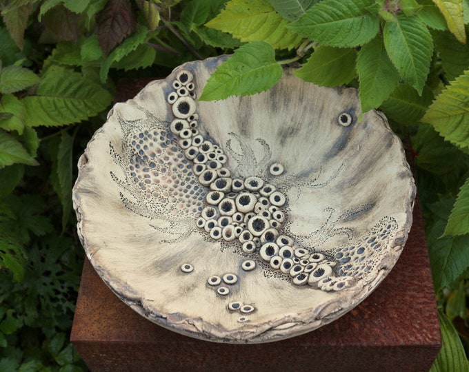 Bird potions Ø 23.5 cm Insect potions maritime coral Decoration bowl Ceramic bowl - sign. Unique