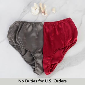 French Cut Pure Mulberry Silk Pantie | High Waist | 22 Momme | Float Collection