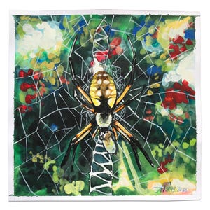 Yellow Garden Spider - 8x8 Original Watercolor Painting | Good Garden Spiders | Female Orb Weaver Spider Painting | Beneficial Bugs