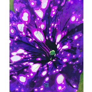 Purple Petunia Flower Art Print #1 | Petunia Headliner Night Sky | Abstract Floral Wall Art