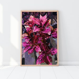 Op de afbeelding: Een ingelijste print van een levendige roze en groene plant met ingewikkelde bladpatronen. De plant staat in een pot en de achtergrond is een wazige afbeelding van een tuin.
