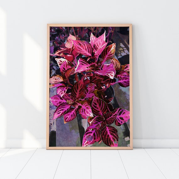 Herbst's Bloodleaf Botanical Illustration | Iresine Herbstii Ornamental Plant - Modern Garden Art