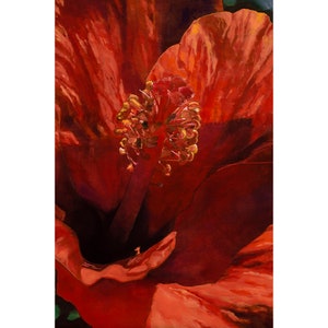 Hibiscus Orange Flower Nature Garden Floral Original Oil