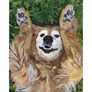 May include: A golden retriever dog lying on its back with its paws in the air. The dog has a happy expression on its face and is looking directly at the camera.