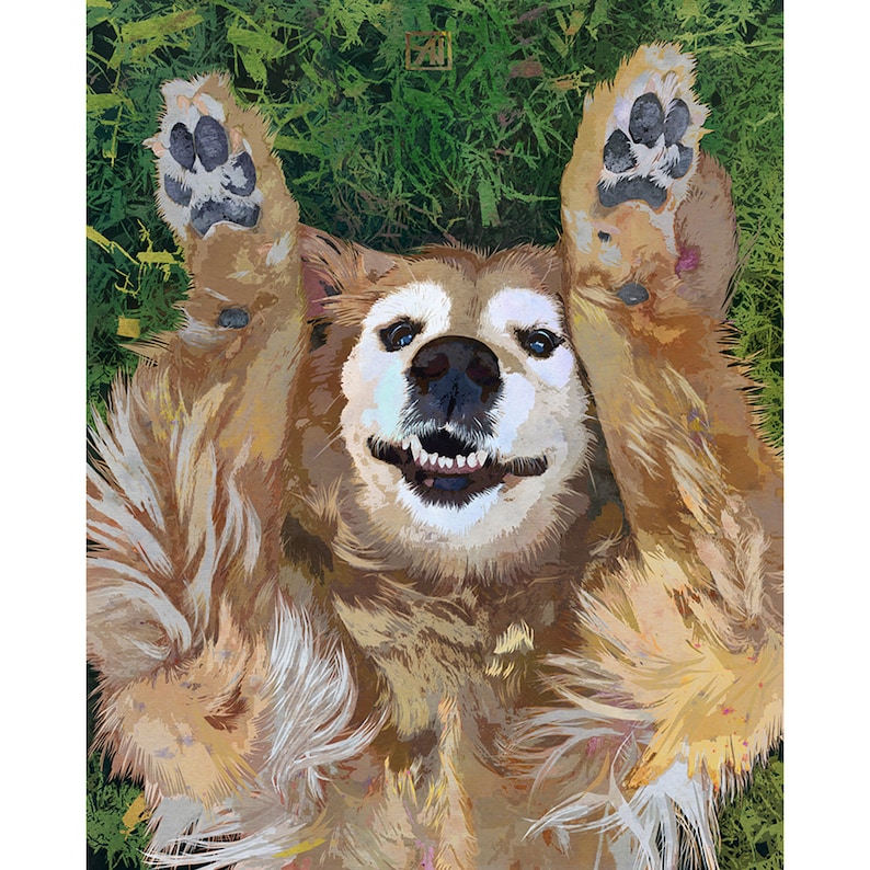 May include: A golden retriever dog lying on its back with its paws in the air. The dog has a happy expression on its face and is looking directly at the camera.