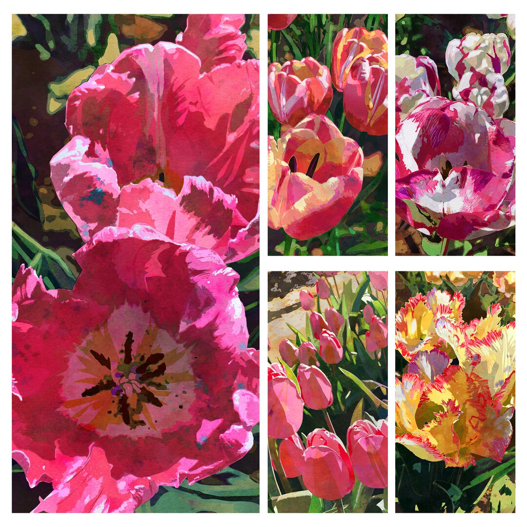 Tulips Note Five Spring Tulips - Floral Illustration Note Card Collection ...