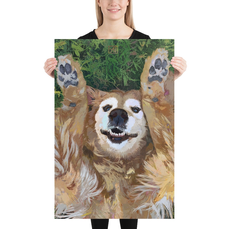 May include: A golden retriever dog lying on its back with its paws in the air. The dog is smiling and has its tongue out. The dog is on a green grassy background.