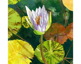 May include: Watercolor painting of a water lily with white and purple petals, a yellow center, and green leaves. The lily pad leaves are yellow, green, and brown. The background is a dark green.
