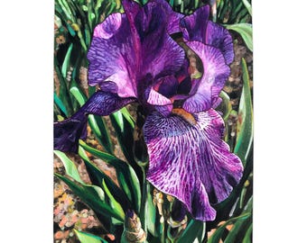 Peinture iris violet : oeuvre d'art floral originale sur panneau de bouleau (30 x 20)