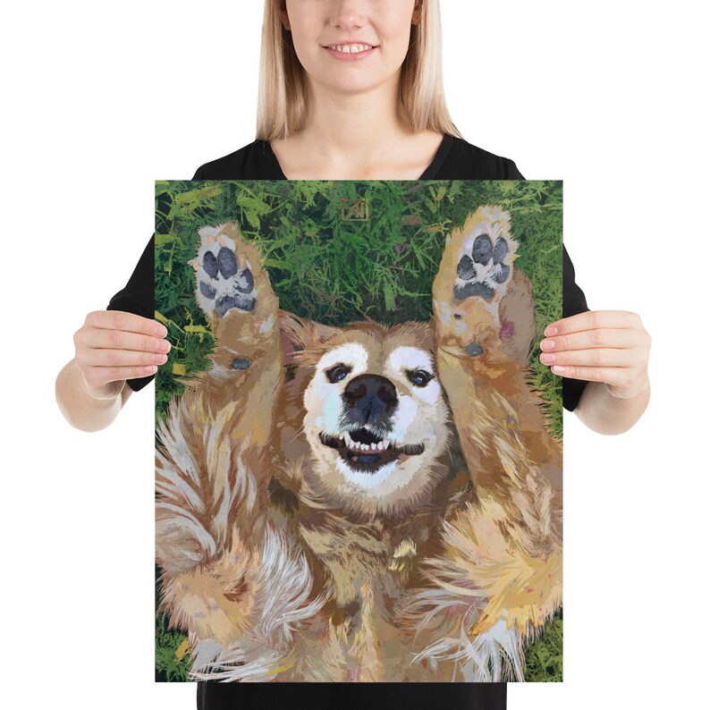 May include: A golden retriever dog lying on its back with its paws in the air, smiling with its tongue out. The dog is on a green grassy background.