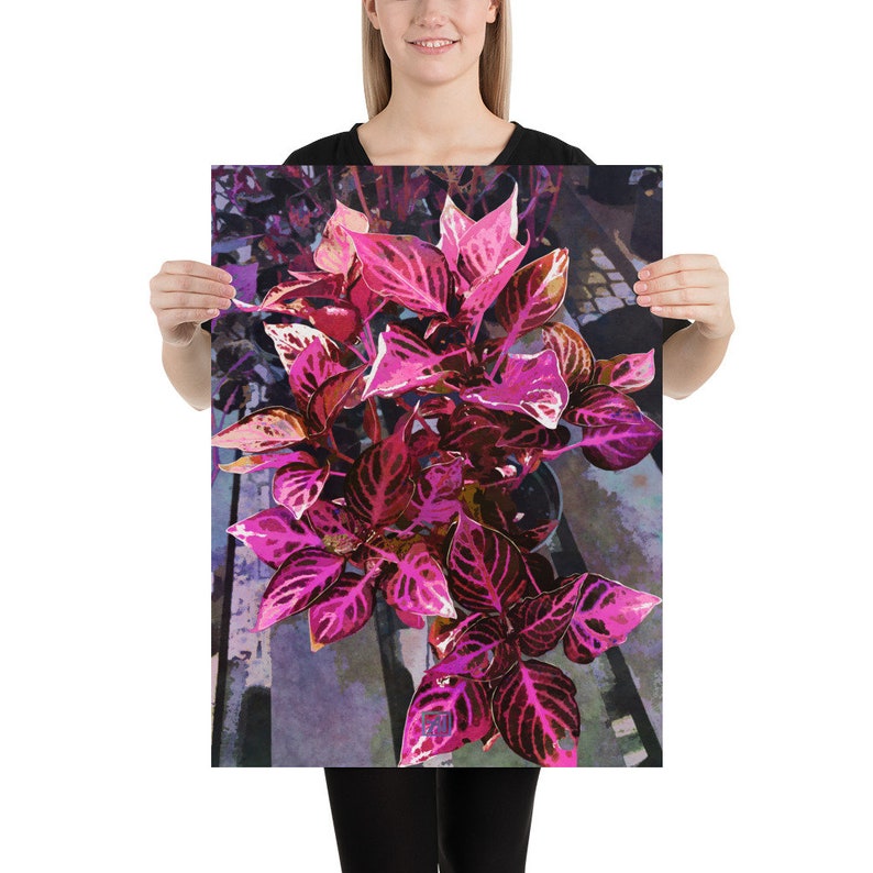 Herbst's Bloodleaf Botanical Illustration | Iresine Herbstii Ornamental Plant - Modern Garden Art afbeelding 9