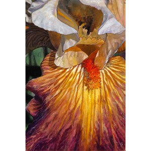 Bearded Iris Flower Painting - Like A Rainbow Bearded Iris | Original Floral Art Painting | Acrylic on Wood
