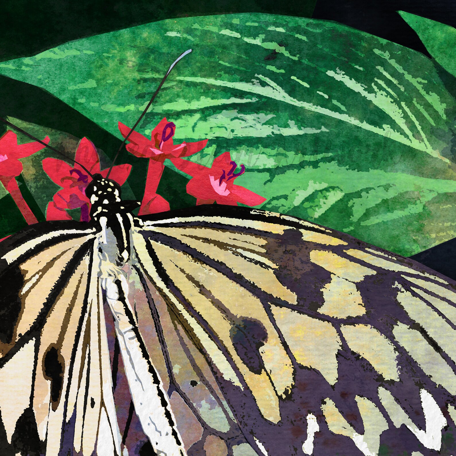 Paper Kite Butterfly Art Print Idea Leuconoe Modern Etsy