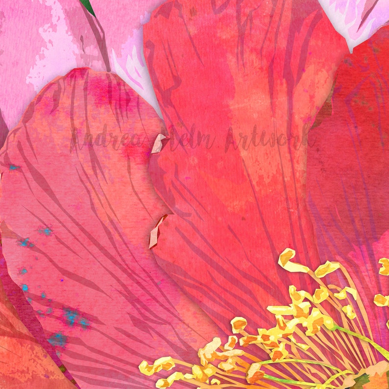 Peut inclure: Gros plan sur une fleur rose avec des &eacute;tamines jaunes. Les p&eacute;tales de la fleur sont doux et d&eacute;licats, avec une texture aquarelle.