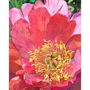 Peut inclure: Gros plan sur une fleur rose et rouge vibrante avec un centre jaune. La fleur a une texture aquarelle et est en pleine floraison.