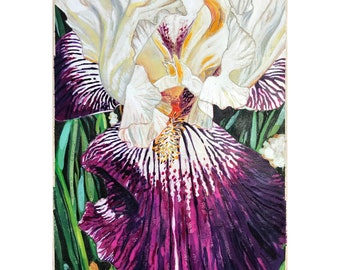 Purple White Iris Floral Watercolor Painting,  Bearded Iris Flower Wall Art | Original Watercolor Painting on Textured Paper