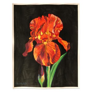 Modern Iris Portrait 14 - 11x14 Dark Orange Bearded Iris Watercolor Painting | Original Floral Watercolor | Iris Floral Illustration