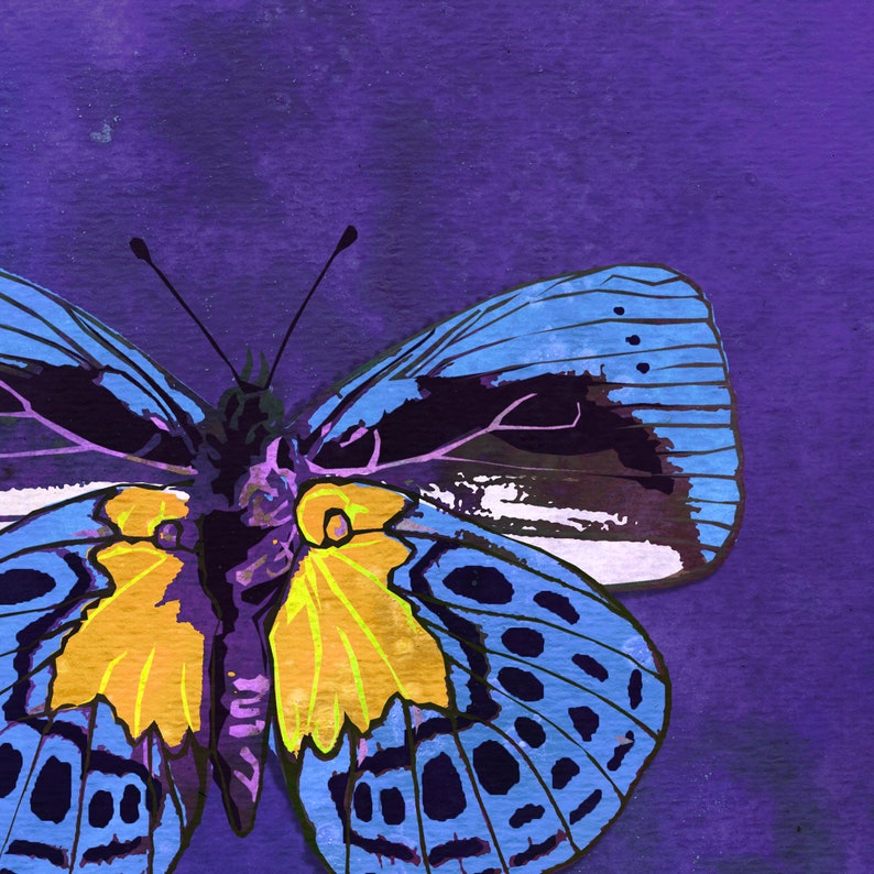 Blood Drop Butterfly Art Print Watercolor Butterfly Design Etsy