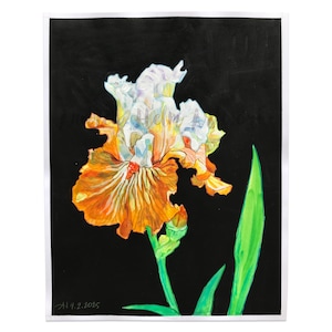 Modern Iris Portrait 13 - 11x14 Yellow White Bearded Iris Watercolor Painting | Original Floral Watercolor | Iris Floral Illustration