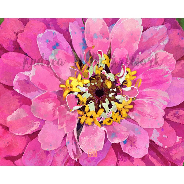 Pink Zinnia Floral Portrait | Floral Watercolor Art Print