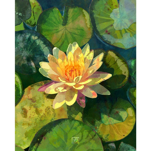 Water Lily Floral Art Print #2 - Modern Garden Floral Illustration Series | Maximalist Floral Gallery Wall | Yellow Pink Water Lily Wall Art