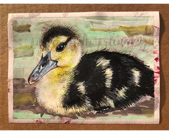 Muscovy Duckling - Bird Art Watercolor Painting | Small Watercolor Paintings | Baby Duck Wall Art