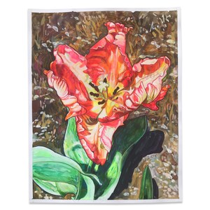 Peach Parrot Tulip Painting | 11x14 Original Floral Watercolor | Peach Pink Tulip Wall Art | Spring Floral Portrait | Floral Illustration