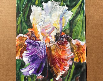 Two Tone Bearded Iris Watercolor Sketch on Notebook Paper - May 9, 2024 | Original Floral Watercolor Painting | Iris Flower Painting