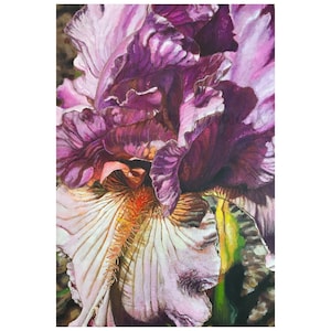 Lilac Purple Bearded Iris Flower Original Painting on Wood - Photorealistic Acrylic Floral Art | Colorful Bearded Iris Wall Art