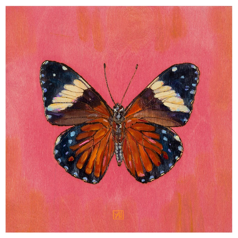 Butterfly Art Print Hamadryas Amphinome Butterfly Orange Etsy