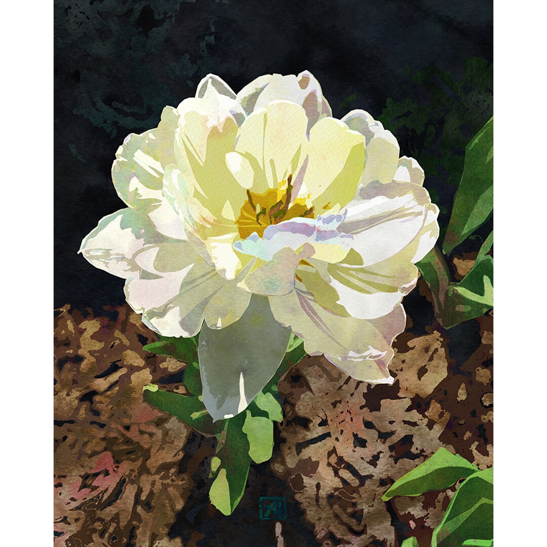 Tulip Flower Art Print #9 - White Double Tulip Watercolor Floral Wall ...