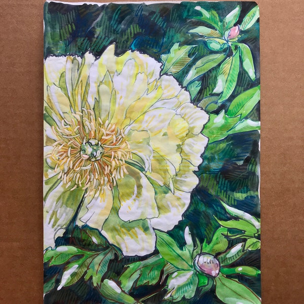 Palest Yellow Peony Flower #11 - Watercolor Sketch on Notebook Paper (April 10, 2024) | Original Floral Watercolor Painting - Pale Yellow