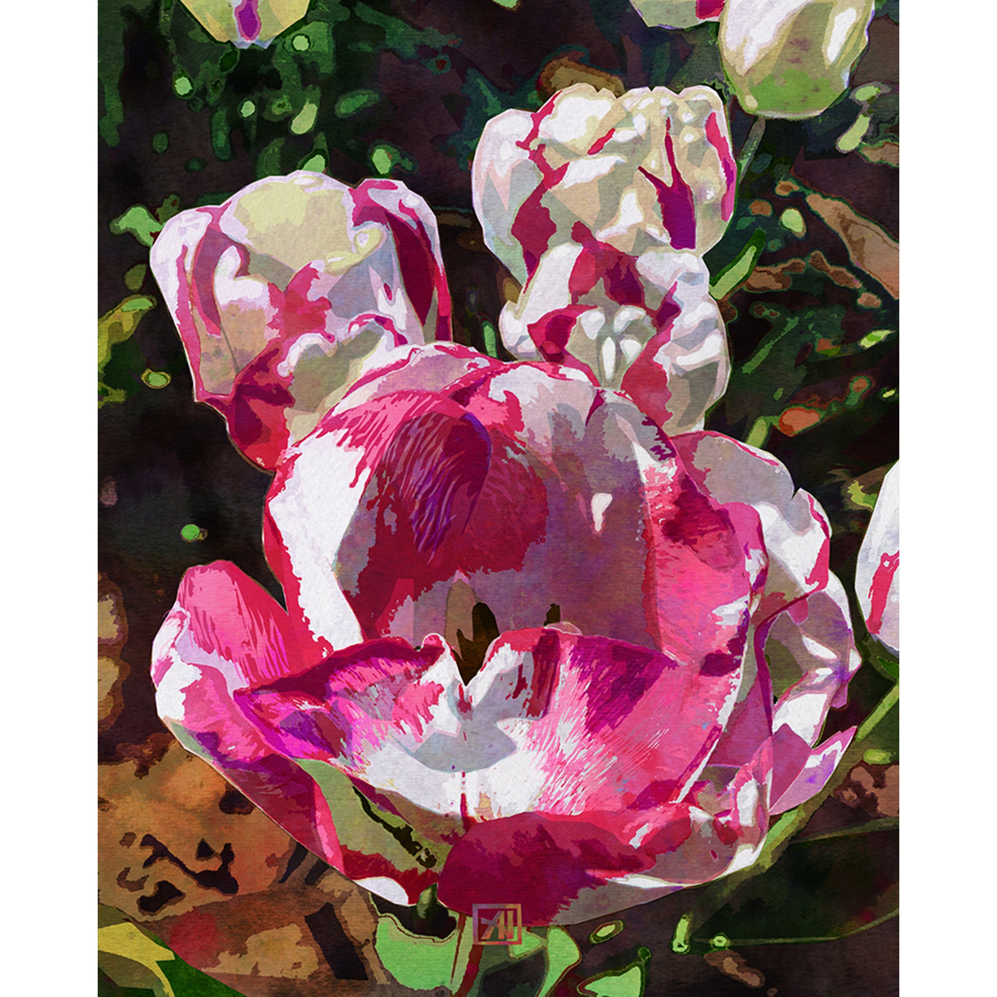 Tulip Flower Art Print #10 - Fuchsia White Tulips Watercolor Floral ...