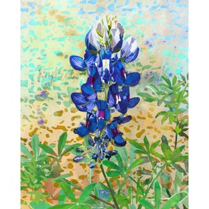 Bluebonnet Art Print, Texas State Flower, Bluebonnet Illustration, State Flower Art, Blue Floral Print