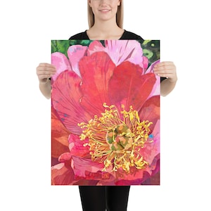 Impression d'art #7 pivoine rose corail - Illustration de fleur de pivoine | Décoration florale maximaliste pour la maison | Imprimés floraux féminins modernes image 9