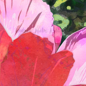 Peut inclure: Gros plan sur une peinture &agrave; l'aquarelle de p&eacute;tales de fleurs roses et rouges. Les p&eacute;tales se chevauchent et ont un aspect doux et textur&eacute;.