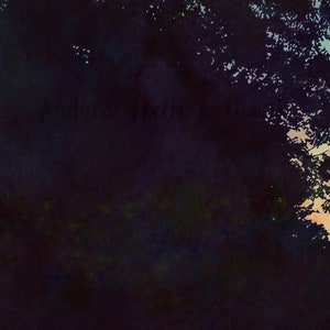 May include: A watercolor painting of a dark forest scene with a silhouette of trees in the foreground and a hint of orange sky in the background. The text "Andreas Heller" is written in the upper left corner of the image.