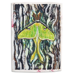 Green Luna Moth - 6x8 Original Watercolor Painting | Actias Luna Moth Wall Art | Bugs Moths and Butterflies | Giant Silk Moth Decor