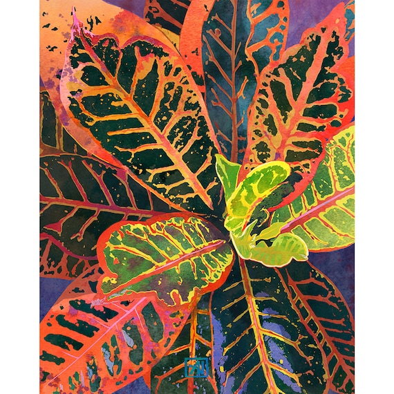 Coral Croton Tropical Plant Leaves | Modern Garden Art Print
