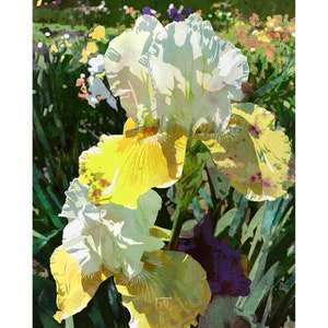 Yellow Iris Flower Art Print #1 - Bearded Irises Floral Illustration Series | Maximalist Floral Gallery Wall | Iris Garden Flowers Wall Art