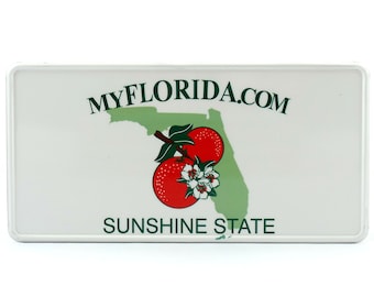 Florida State US USA License Plate Custom Number Plate Embossed Customizable Alu Made in Germany Express Shipping