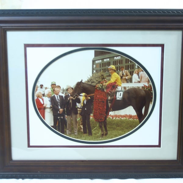 Swale Frame Photo Of SWALE  Thoroughbred Race Horse Winner of the 1984 Kentucky Derby and Belmont Stakes, FREE SHIPPING