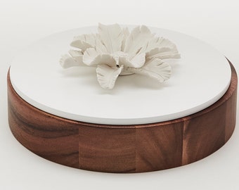 Jewel Box, Acacia Wood, Ceramic palm feather, round box, diameter 15 cm, Luxe Product, French brand, Natural wood and white painting cover