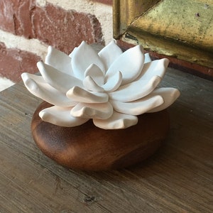 Essential Oil diffuser, air freshener Star flower, made of Wood and Porcelain, drop oil on the porcelain, natural item. ANOQ Zen collection