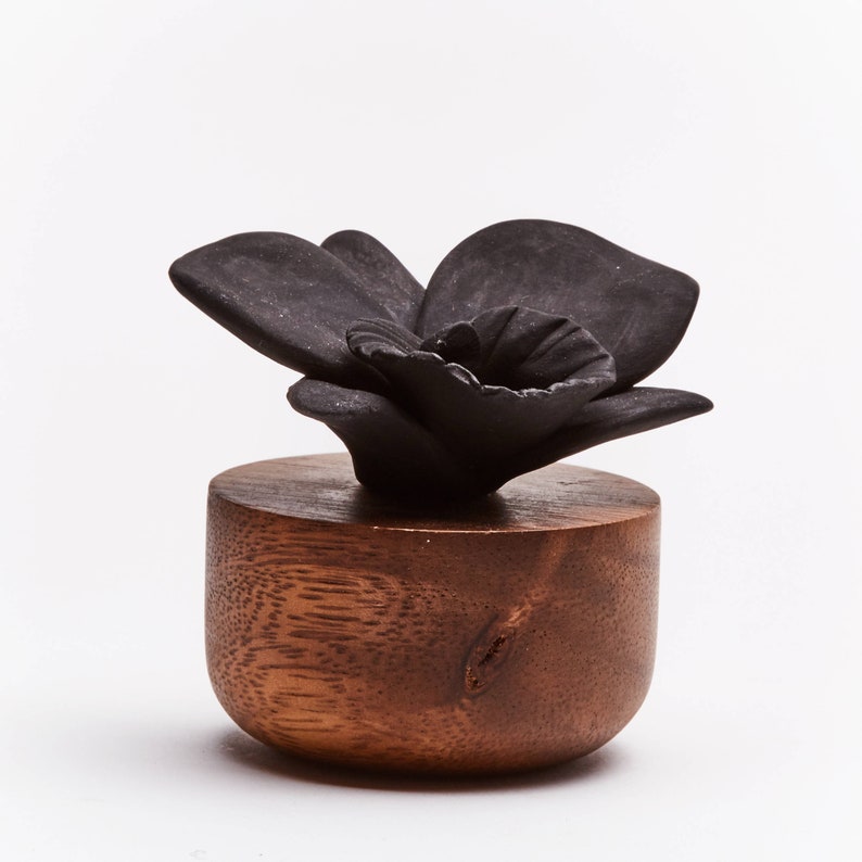 ANOQ Essential Oil Diffuser