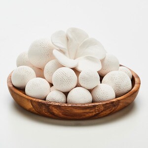 May include: A white ceramic flower sits in the center of a wooden bowl filled with white ceramic balls. The balls have a textured surface.