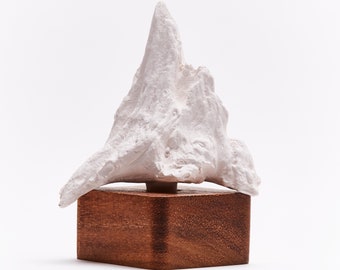 Ceramic tree branch sculpture, wooden square base. Decorative item made of white ceramic and Acacia wood. BY ANOQ